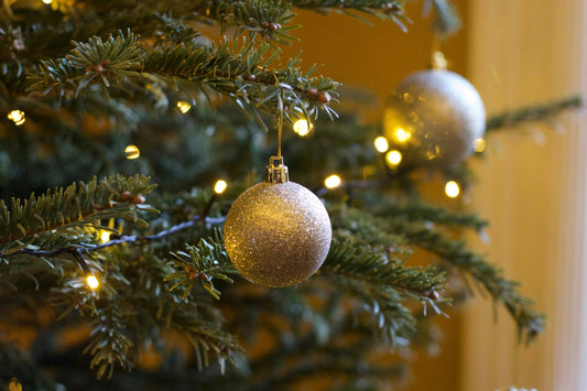 4 Reasons to Order Your Christmas Tree Early