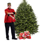 Sapin Cook