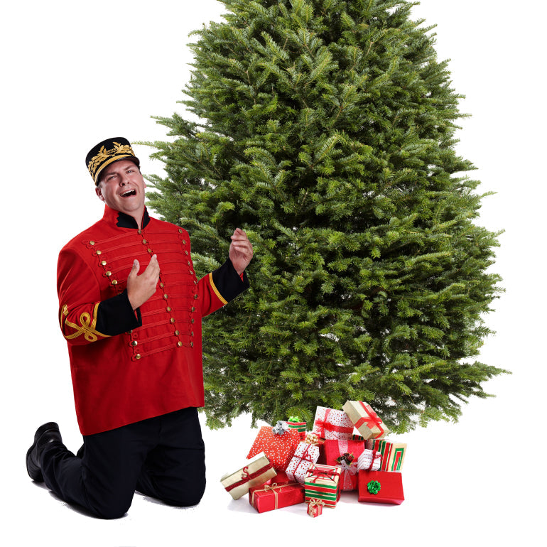 Sapin Cook