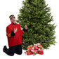 Sapin Cook