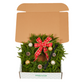 Christmas Wreath Gift Set – Decorated, 12in, with Hook