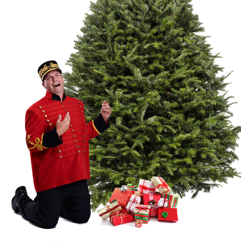 Sapin Cook