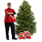 Sapin Cook