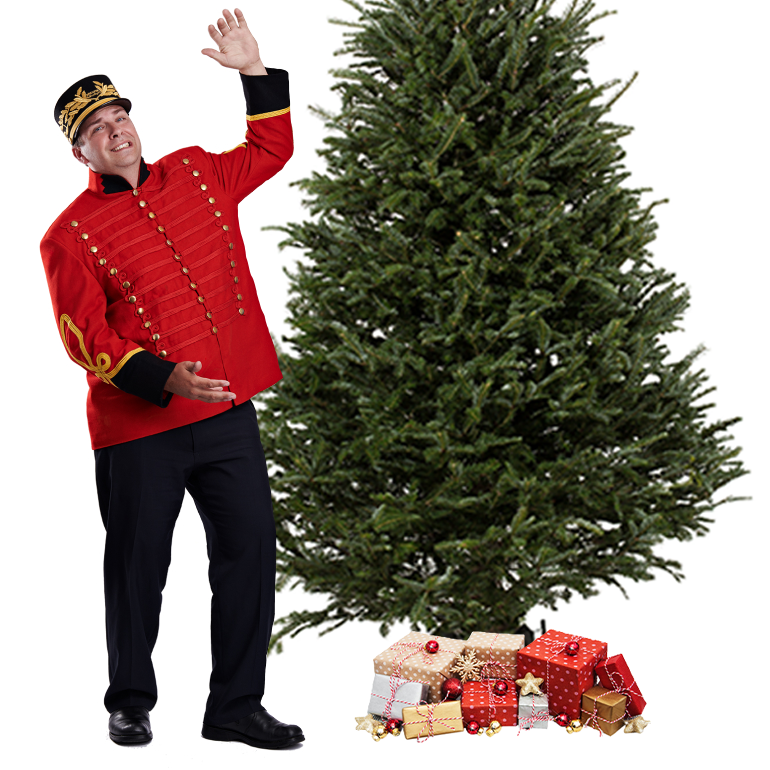Fraser Christmas tree