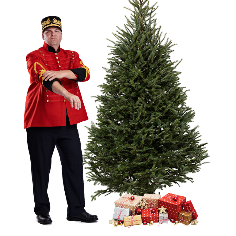 Fraser Christmas tree