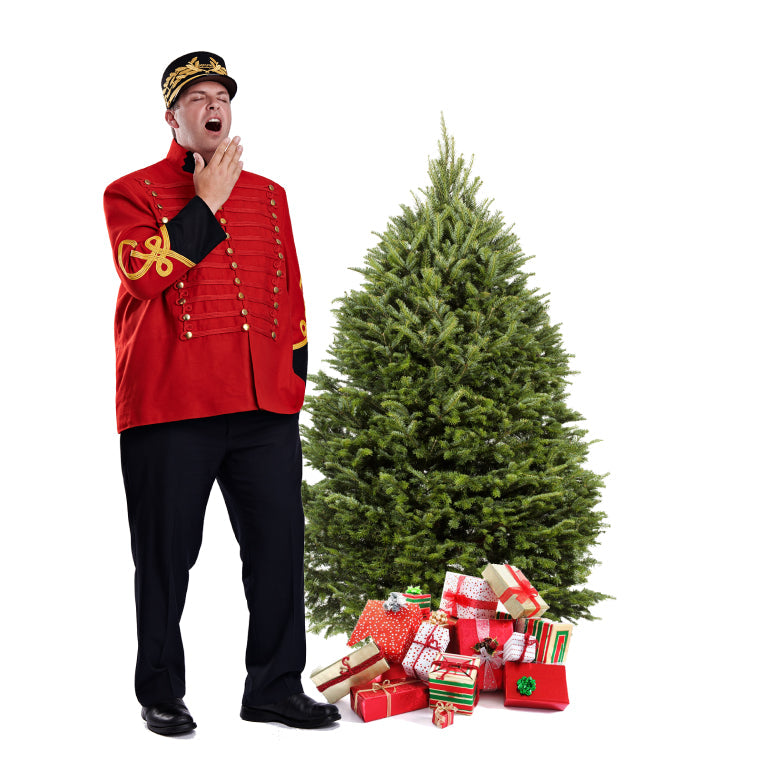 Sapin Cook