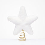 Christmas star