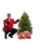 Sapin Cook