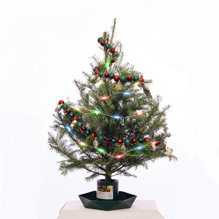 Tabletop Christmas Tree – 3 ft