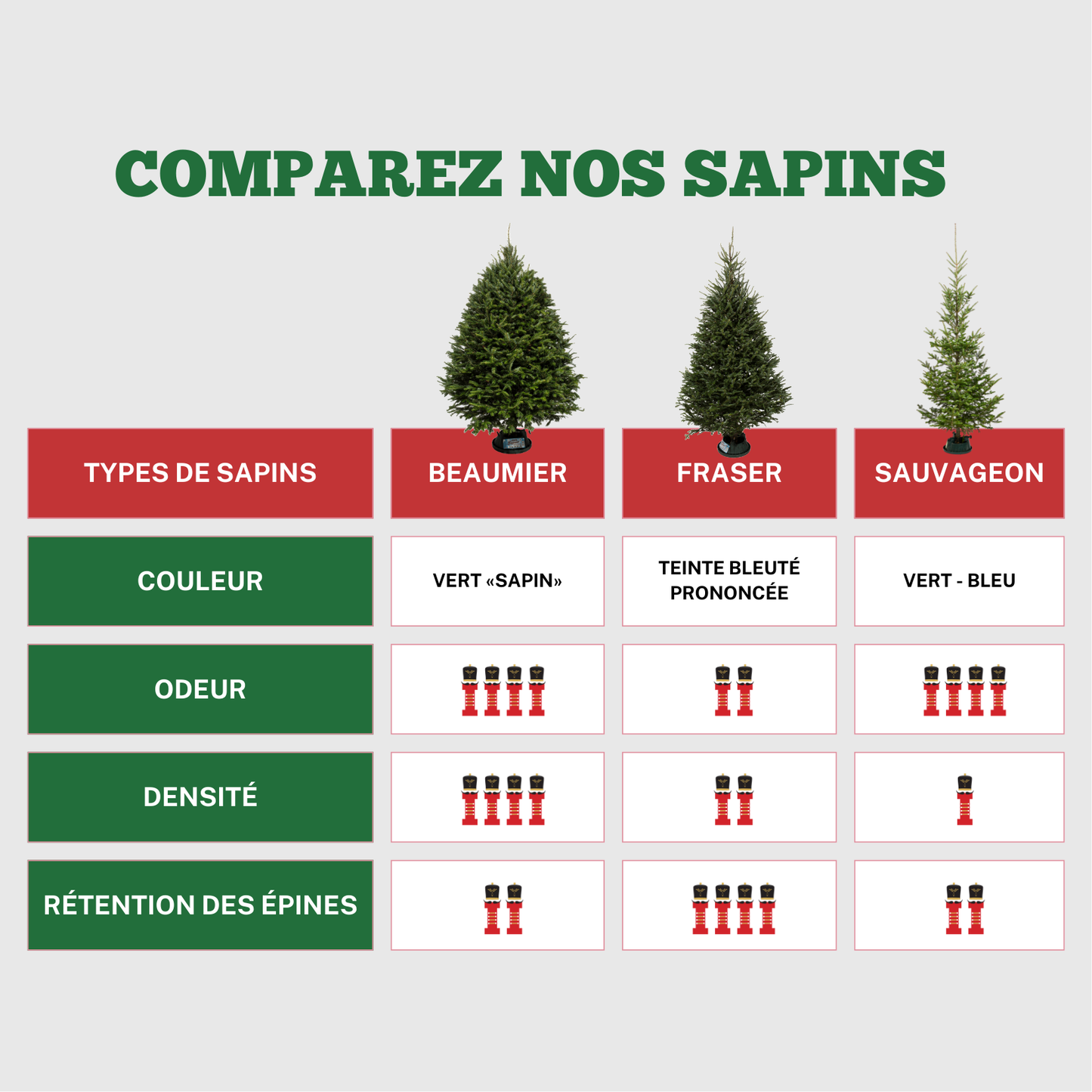 Sapin Cook