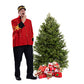 Sapin Cook