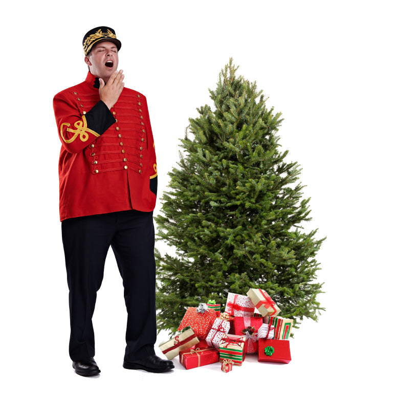 Sapin Cook