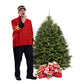 Sapin Cook