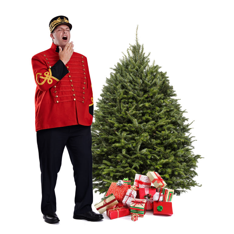 Sapin Cook