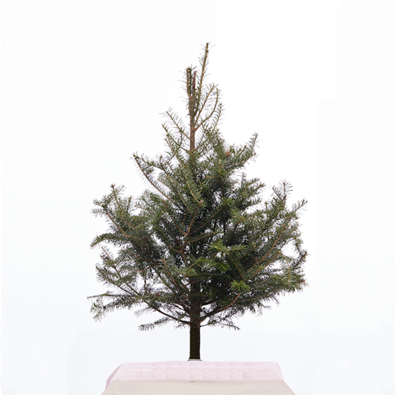 Tabletop Christmas Tree – 3 ft